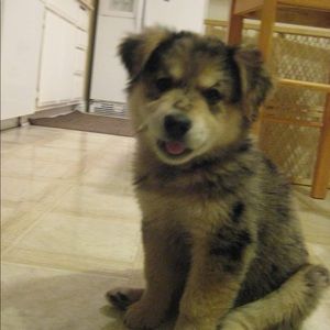 Meet your Posher, Cole